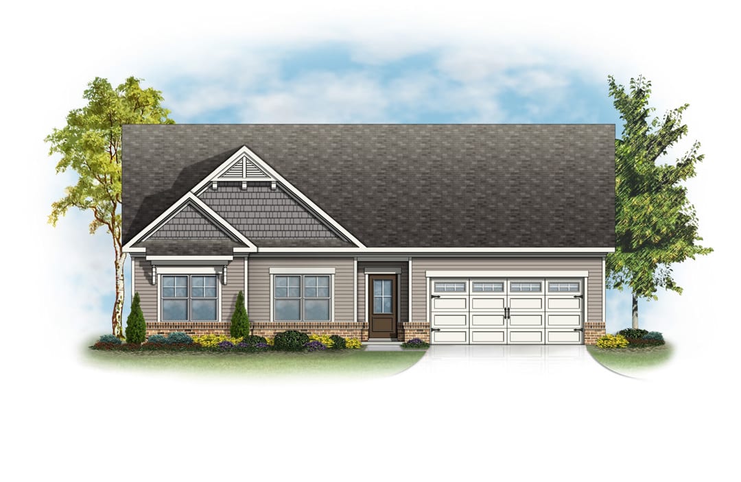 Elevation Image