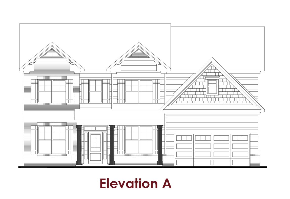 Elevation Image