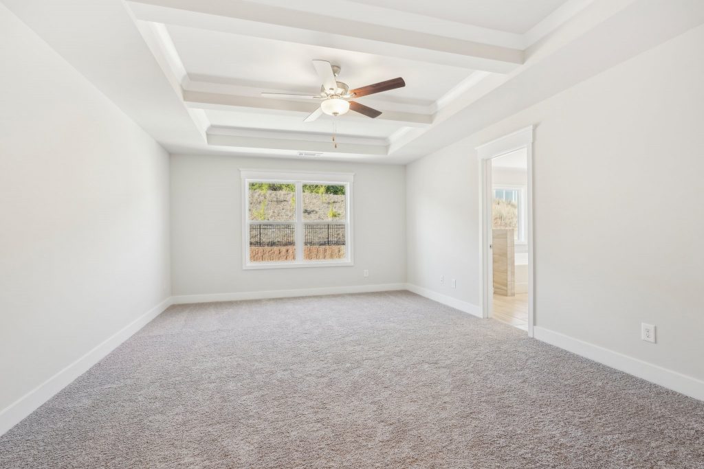 Cheshire photos Image