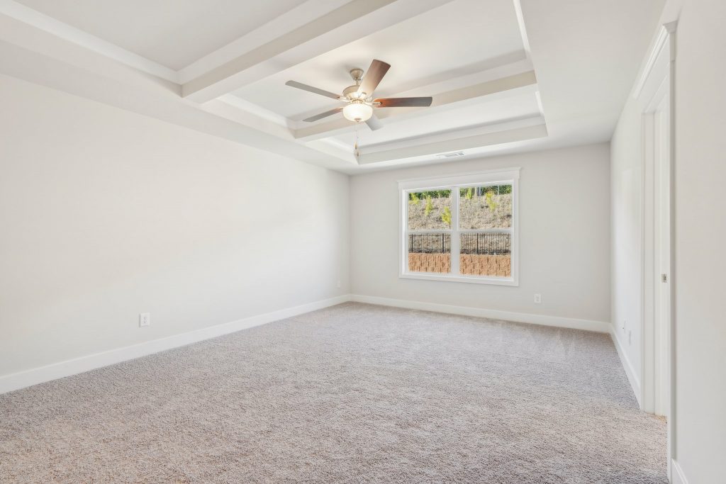 Cheshire photos Image