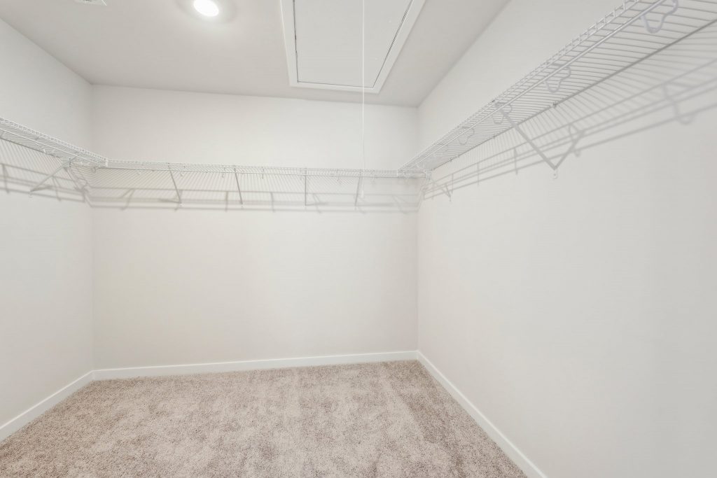 Cheshire photos Image