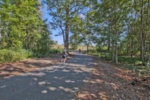 Parkside-at-Mulberry-Park-by-Chafin-Communities-Trail-Little-Mulberry-Park