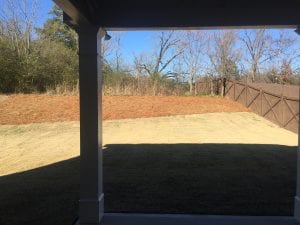 Lot-83-Brighton-Park-by-Chafin-Communities-New-Home-7