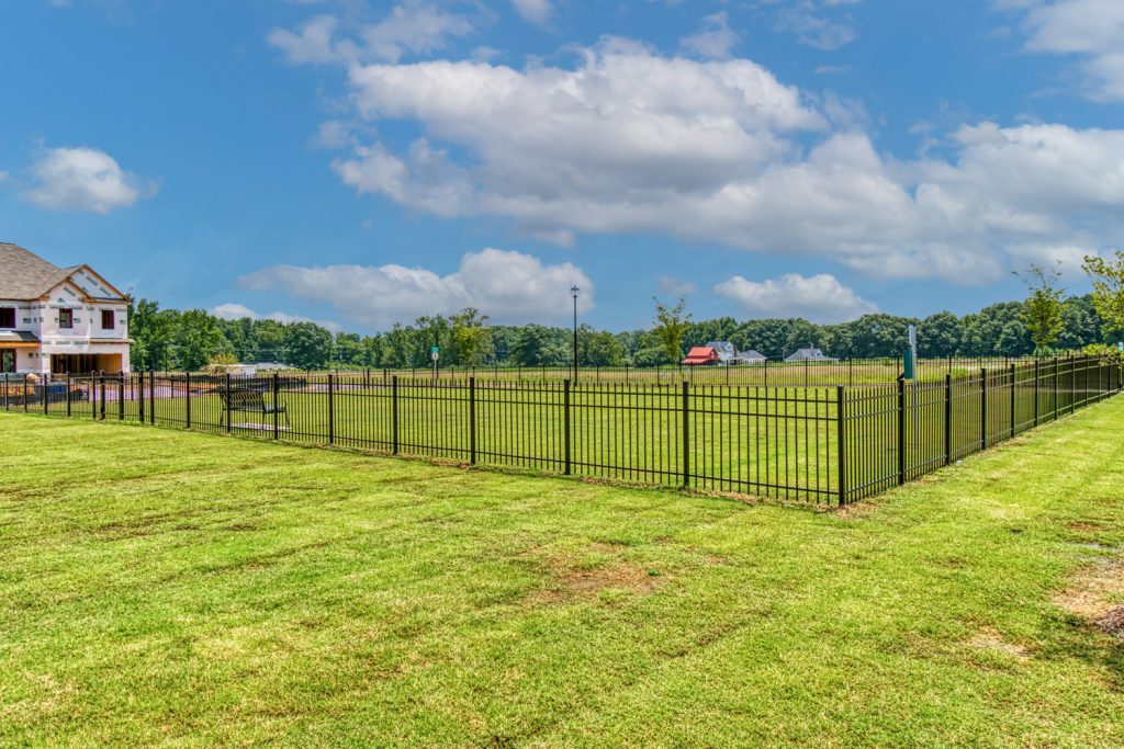 Fenced Dog Park
