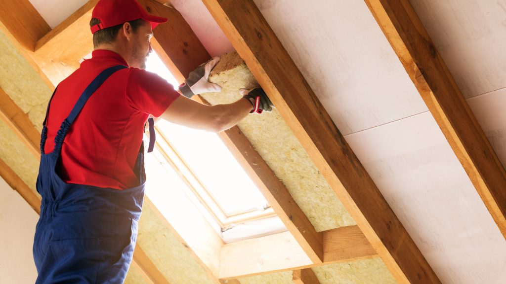 attic maintenance