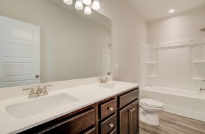bathroom and shower