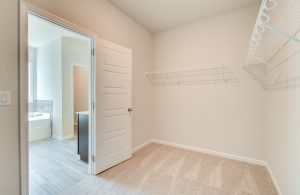 bedroom closet