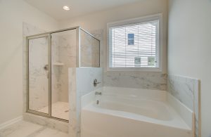bathroom with shower and tub option