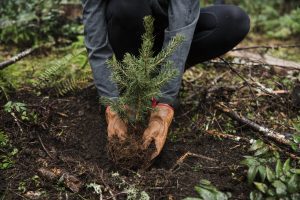 clayton partners with arbor day foundation