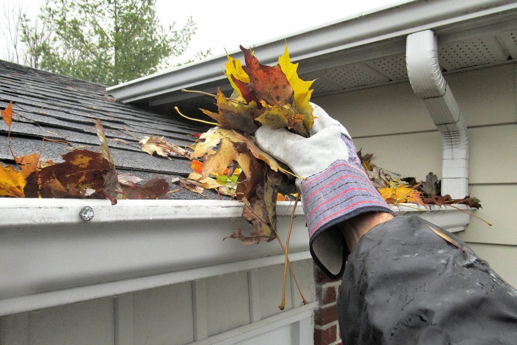 Nature...This close up shot shows a hand, lifting autumn leaves from a roof top gutter.