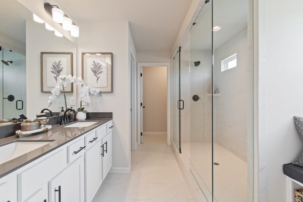 Pembrooke photos Image