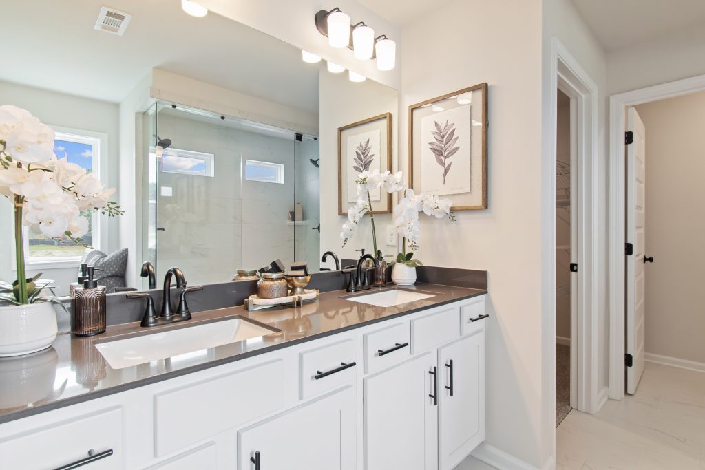 Pembrooke photos Image