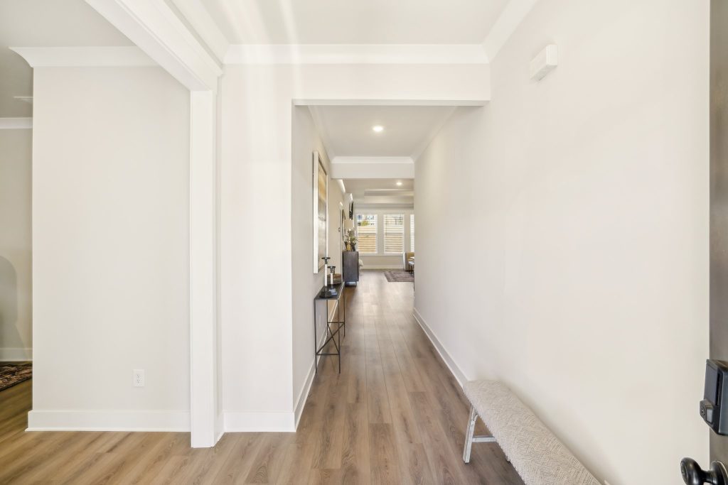 Kingston photos Image