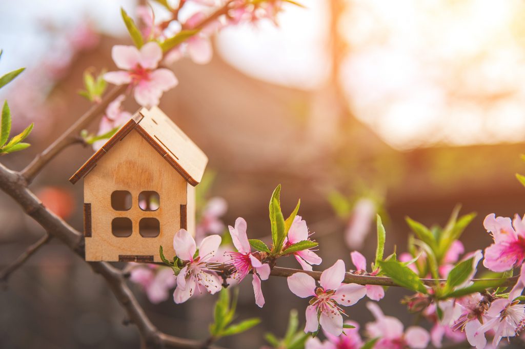 spring home buying