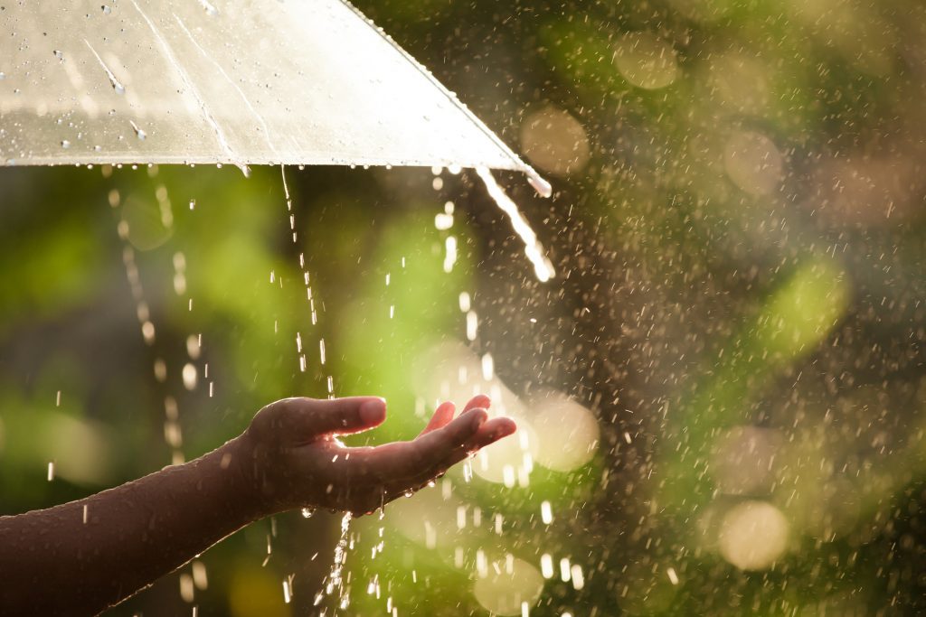 Woman hand with umbrella in the rain in green nature background, summer weather