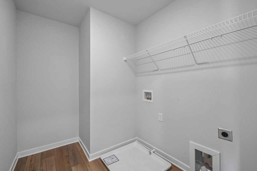 Briar photos Image
